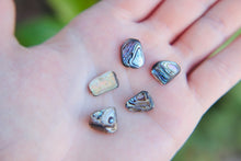 Load image into Gallery viewer, Beautiful hand beaded abalone shell necklace