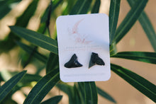 Load image into Gallery viewer, Fossil shark tooth earring studs