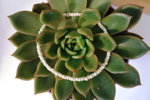 Coconut Shell Anklet