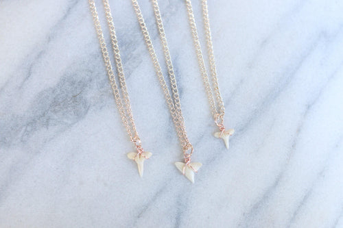 Dainty Rose Gold Wire Wrapped Shark Tooth Necklace / Choker Necklace / Beach Jewelry / Boho Necklace