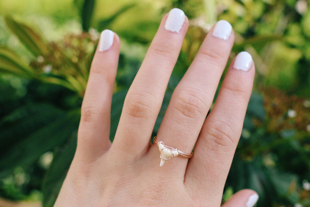 Tiny Natural Shark Tooth Sterling Silver Wire Wrapped Ring