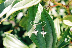 Rose Gold Wire Wrapped Shark Tooth Earrings
