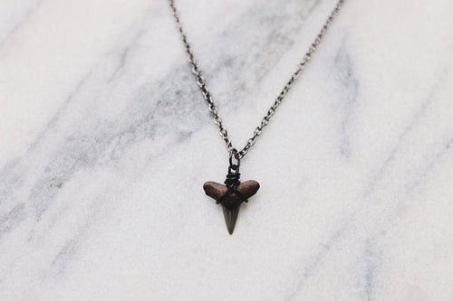 Black Fossil Shark Tooth Necklace