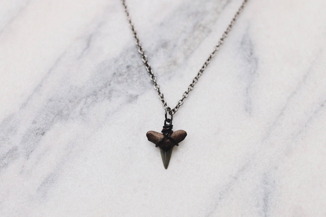 Black Fossil Shark Tooth Necklace