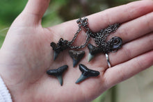 Load image into Gallery viewer, Black Fossil Shark Tooth Necklace
