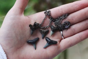 Black Fossil Shark Tooth Necklace