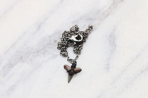 Black Fossil Shark Tooth Necklace