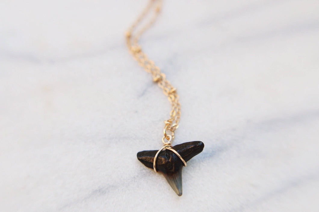 Shark Bite Wire Wrapped Black Shark Tooth Necklace