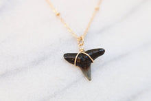 Load image into Gallery viewer, Shark Bite Wire Wrapped Black Shark Tooth Necklace