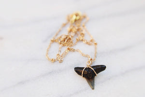 Shark Bite Wire Wrapped Black Shark Tooth Necklace