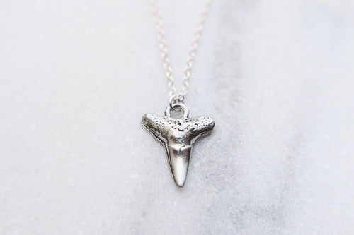Dainty Shark Tooth Necklace
