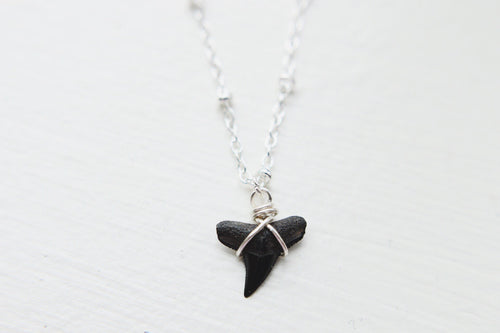 Tiny Fossil Shark Tooth Choker