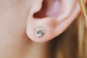 Itty Bitty Sea Shell Clam Earrings Studs