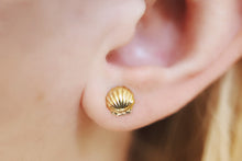 Load image into Gallery viewer, Itty Bitty Sea Shell Clam Earrings Studs