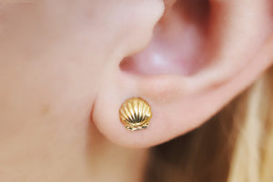Itty Bitty Sea Shell Clam Earrings Studs