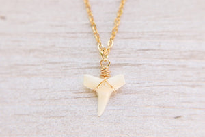 White Shark Bite Necklace