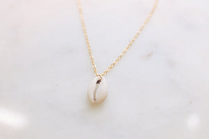 Dainty Cowrie Sea Shell Choker Necklace