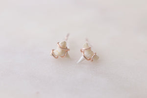 Tiny Rose Gold Shark Tooth Earring Studs