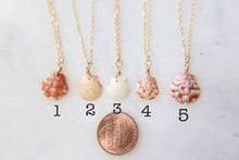 Load image into Gallery viewer, Dainty Calico Sea Shell Wire Wrapped Necklaces