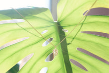 Load image into Gallery viewer, Gold Monstera Necklace