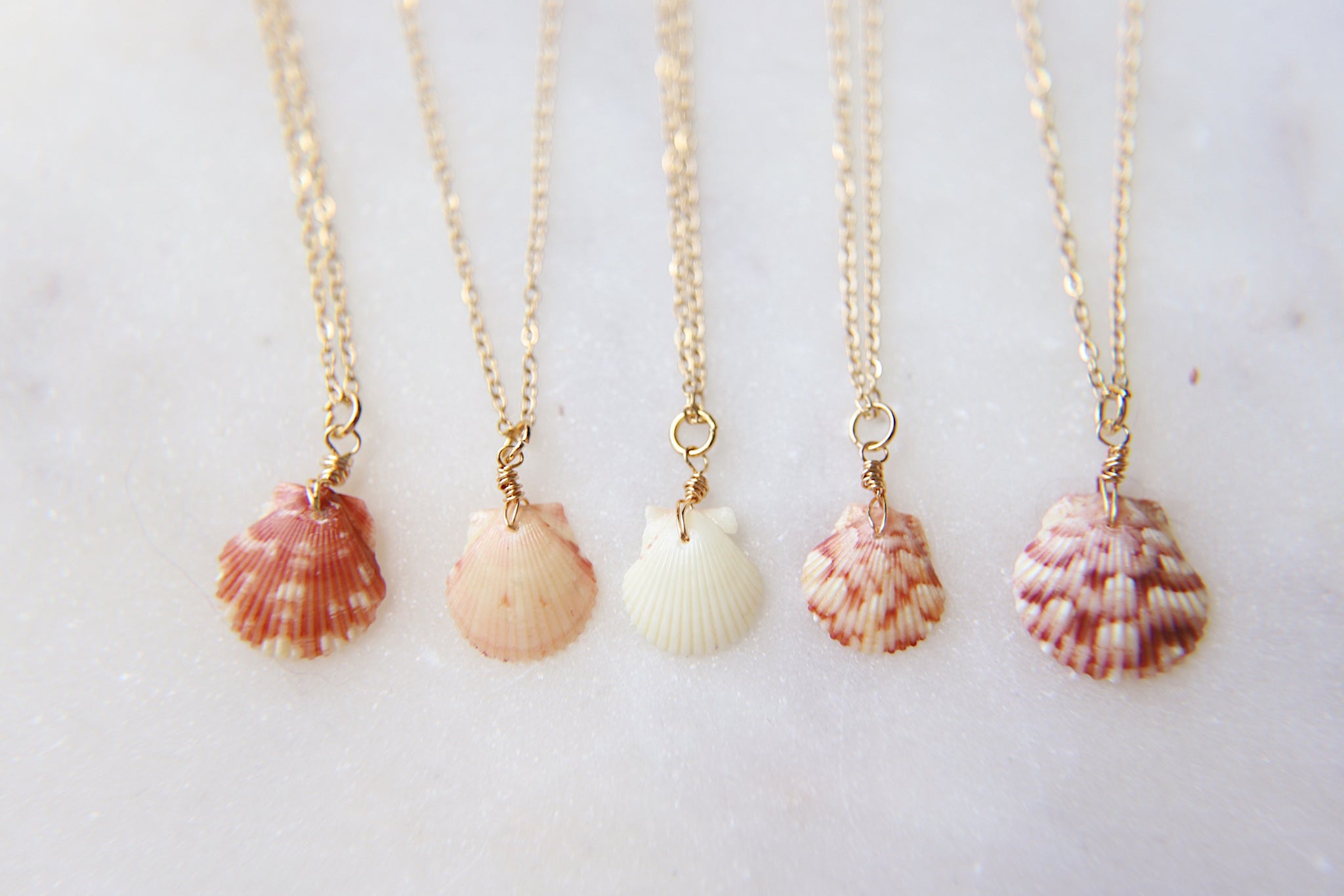 Bright Shell Rope Necklace