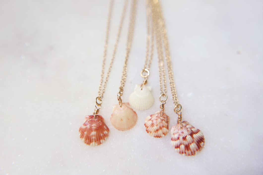 Dainty Calico Sea Shell Wire Wrapped Necklaces